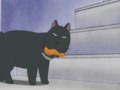 Chi Tracks Down 
