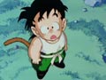 Survivre dans la nature. La lune rveille Gohan