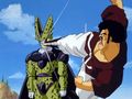 Les disciples d'Hercule