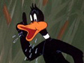 Daffy Duck