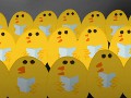 Des poussins choristes
