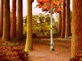 L'amour impossible de Super-Arbre
