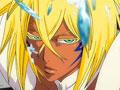 Hitsugaya, the Suicidal Frozen Heavens Hundred Flowers Funeral!