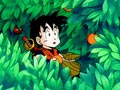 Un compagnon pour Sangohan