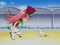 Mao-Chan's First Dispatch!