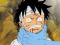 Je veux tous les revoir ! Le cri, mêlé de larmes, de Luffy