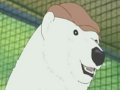 Shirokuma Café