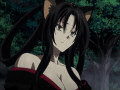Chat et dragon