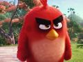 Angry Birds Le Film