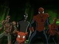 Ultimate Spider-Man : Web Warriors