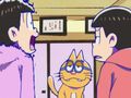 L'incident Karamatsu / Le chat-man