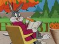 Bugs Bunny, Bip Bip : le film-poursuite