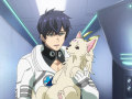 MY CUTE PUPPY / DO NOT DISTURB