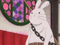 Un lapin nomm Karashi / Les critres de Hakutaku