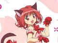 Tokyo Mew Mew New