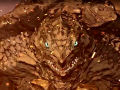 Gamera: Rebirth