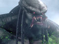 Predator: Killer of Killers