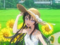 Tenkousaki no Seiso Karen na Bishoujo ga, Mukashi Danshi to Omotte Issho ni Asonda Osananajimi datta Ken